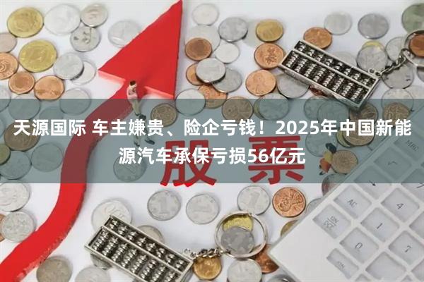 天源国际 车主嫌贵、险企亏钱！2025年中国新能源汽车承保亏损56亿元