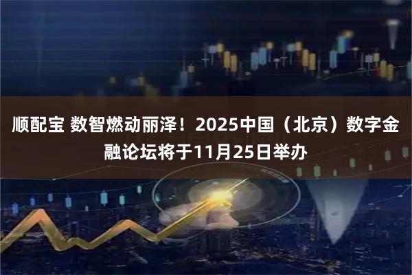 顺配宝 数智燃动丽泽！2025中国（北京）数字金融论坛将于11月25日举办